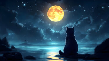 『満月珈琲店の星詠み⑥～月と太陽の小夜曲～』